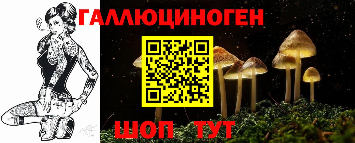 Псилоцибиновые грибы мицелий Чебоксары