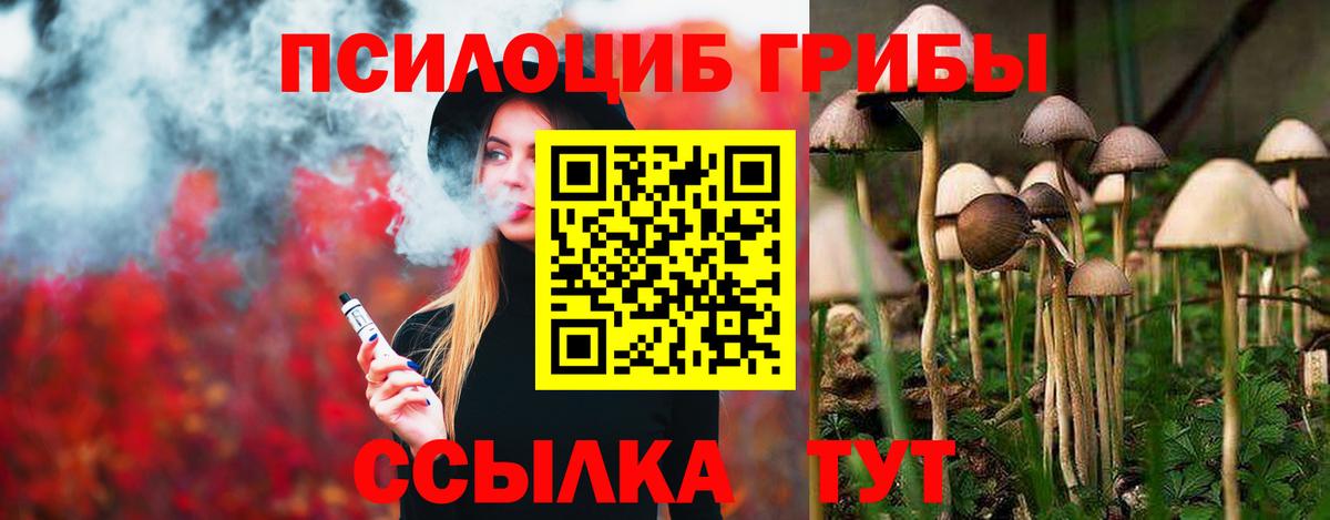 Псилоцибиновые грибы мухоморы  как найти   Галлюциногенные грибы Psilocybe  Чебоксары  Вход с VPN 
